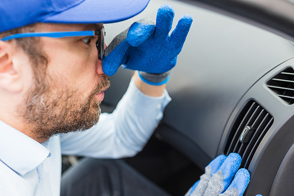 What’s Causing That Musty Smell in Your Car’s A/C?